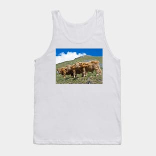 Highland cattle all in a row Tank Top